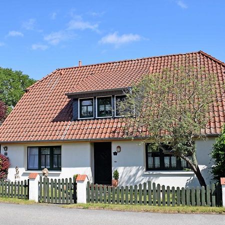 Fewos Beuchow - Nur Urlaubsdomizil - Keine Monteursunterkunft Zewnętrze zdjęcie